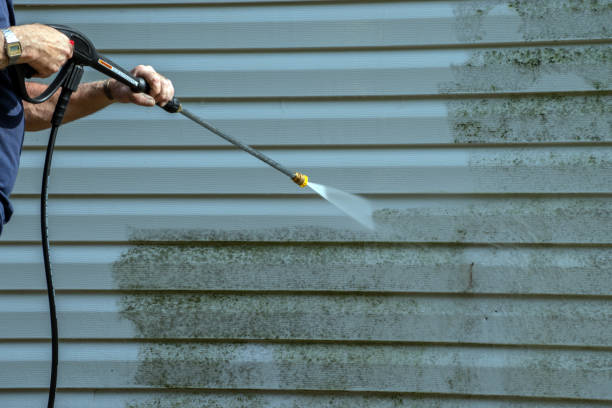 Best Residential Pressure Washing in Waverly, IA